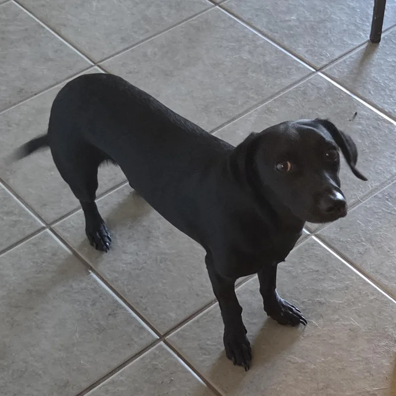 Bean thumbnail 2