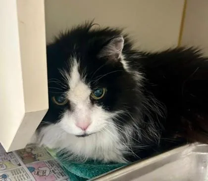 Mister B thumbnail 2