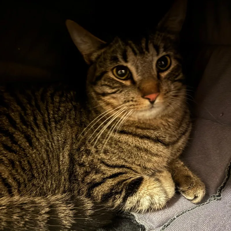 Jim Nastics thumbnail 2