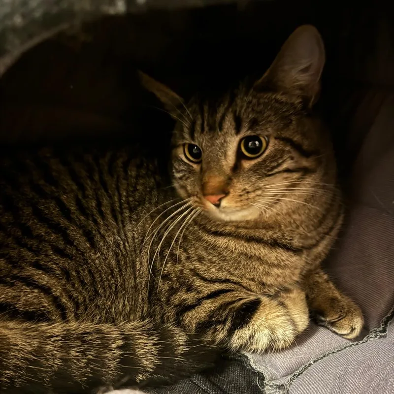 Jim Nastics thumbnail 3