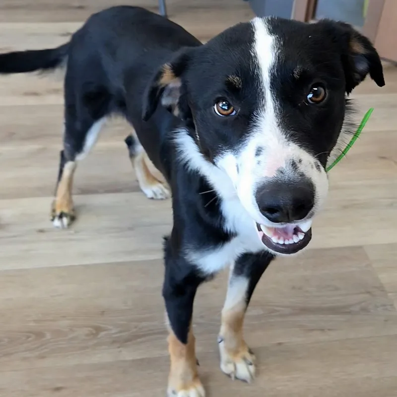 Ernie thumbnail 2