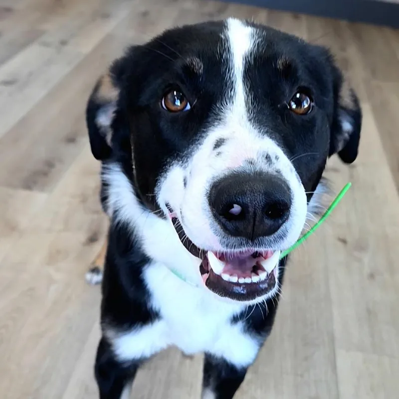 Ernie thumbnail 3