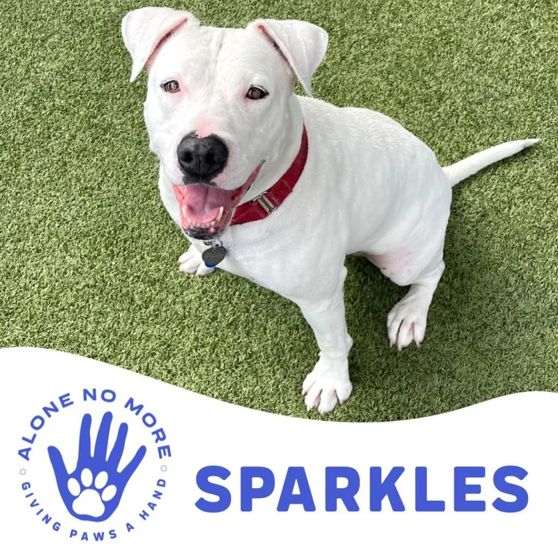 Sparkles thumbnail 4