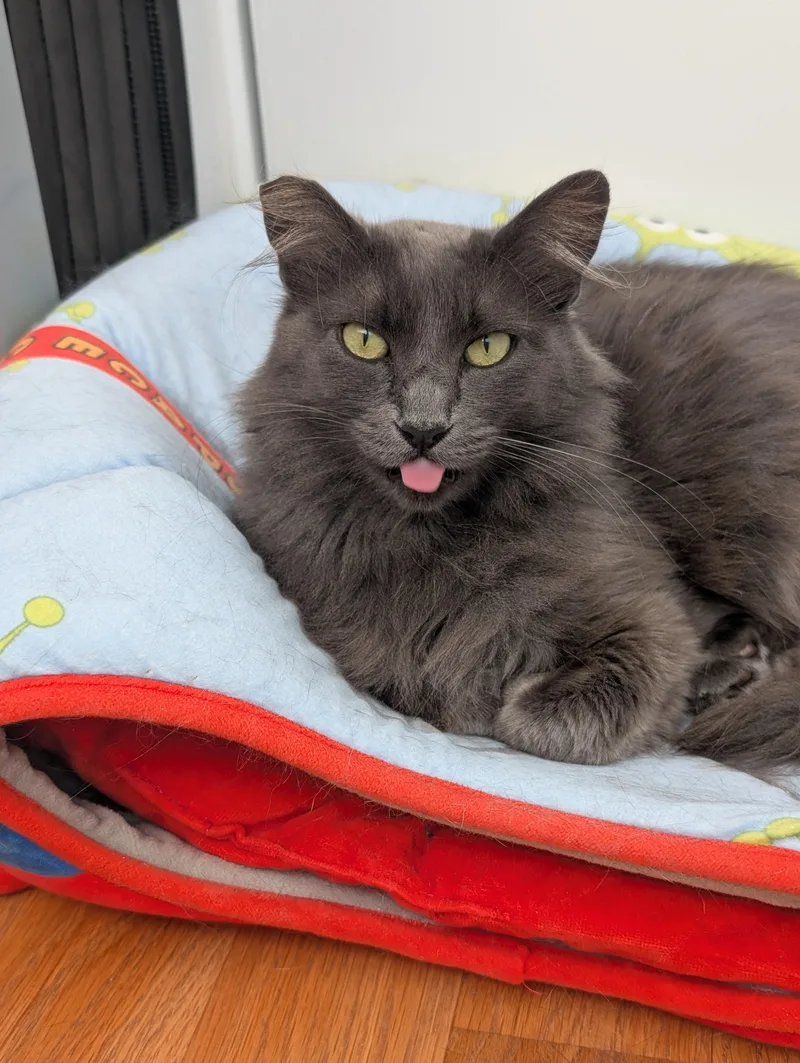 Fifi And Tino thumbnail 3