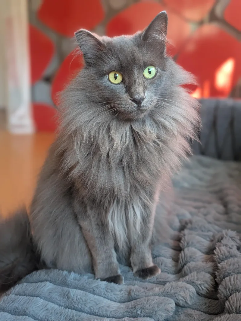 Fifi And Tino thumbnail 6