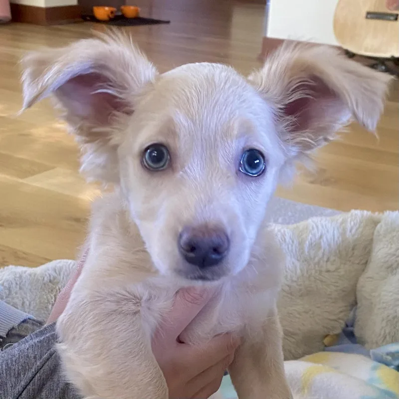 Casper thumbnail 5