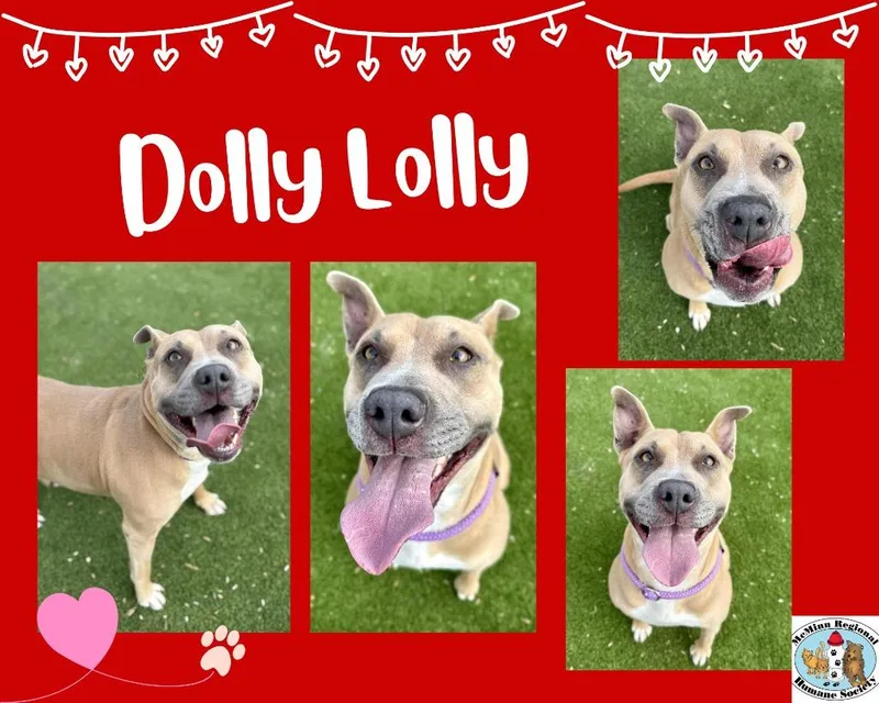 Dolly Lolly