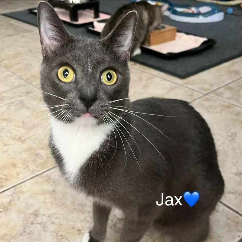 Jax