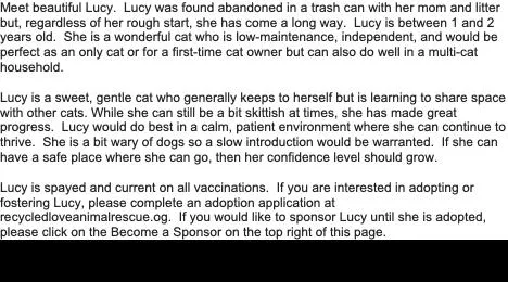 Lucy thumbnail 4