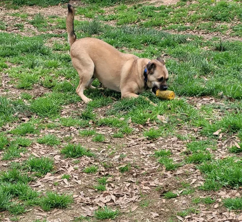 Little Man thumbnail 2