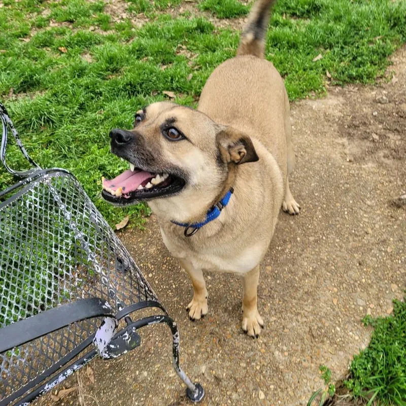 Little Man thumbnail 3