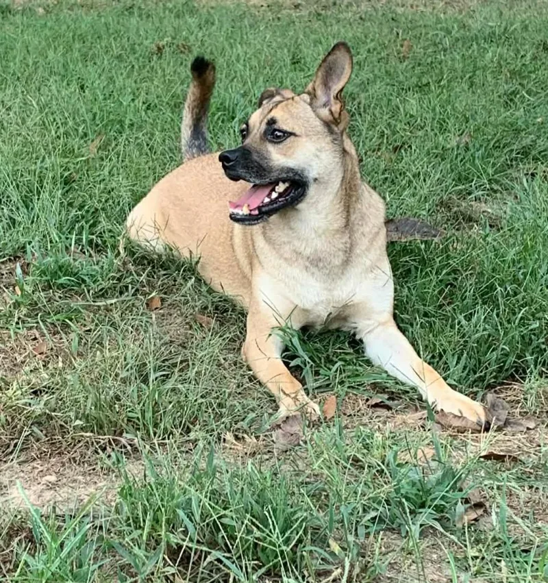 Little Man thumbnail 4