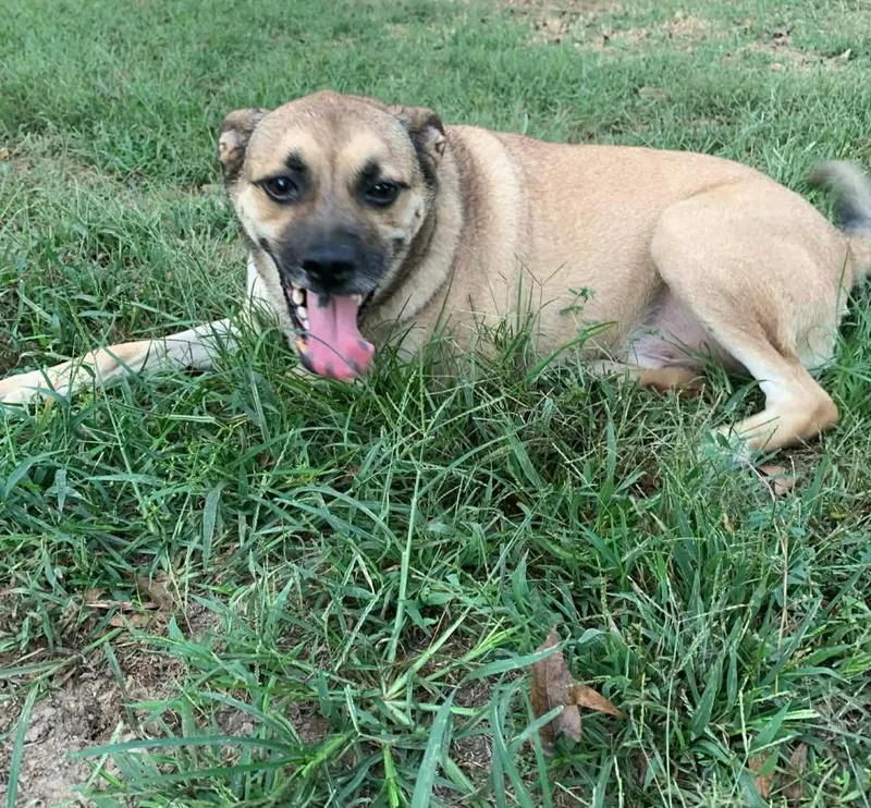 Little Man thumbnail 5