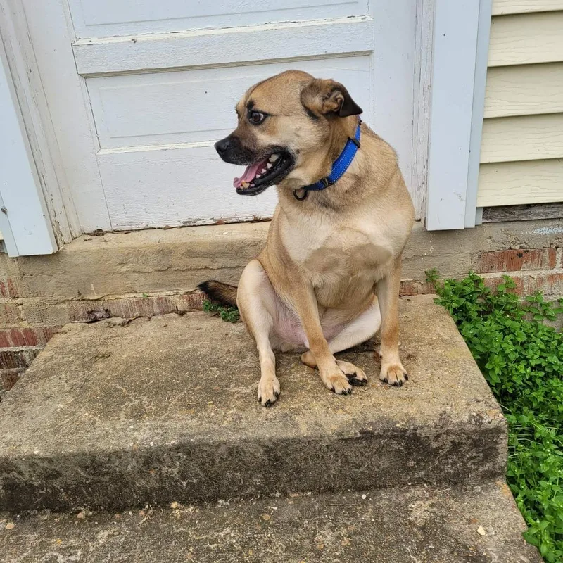 Little Man thumbnail 6