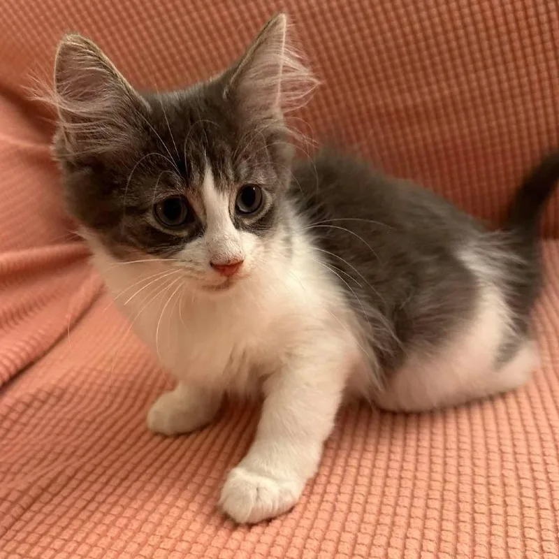 Sally