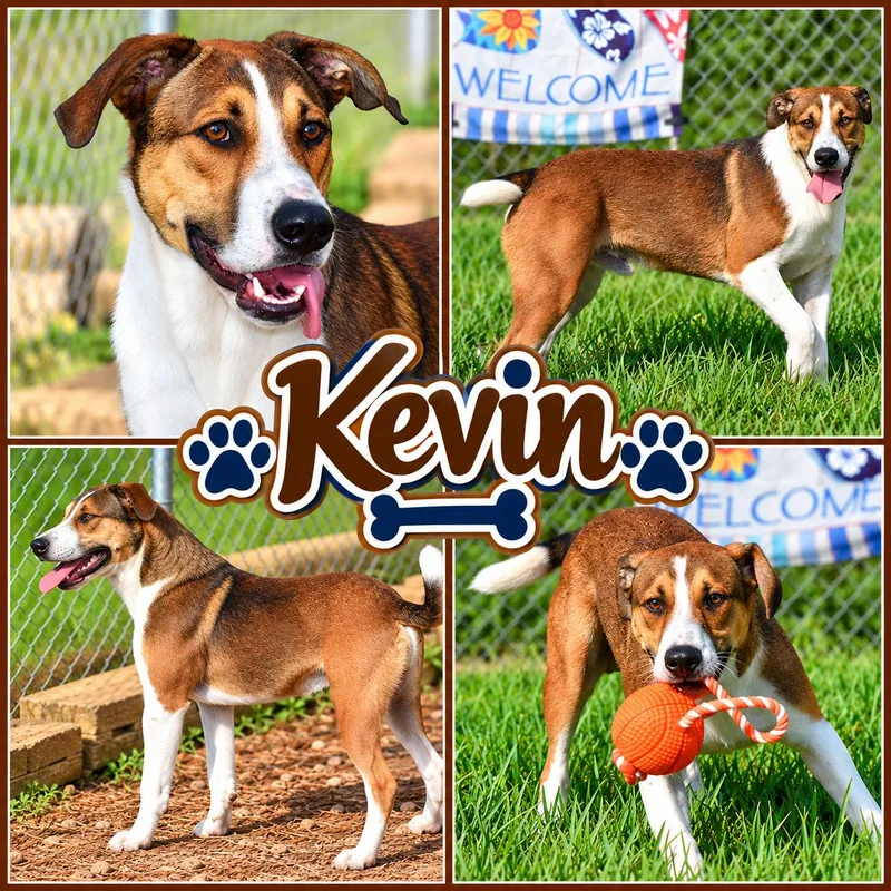 Kevin thumbnail 3