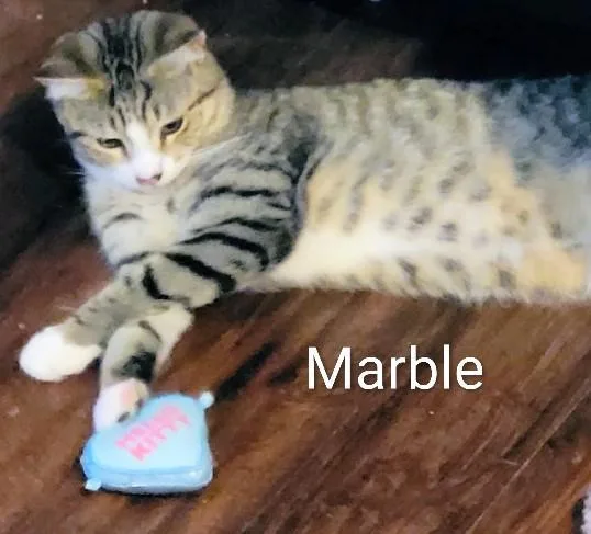 Marble thumbnail 2