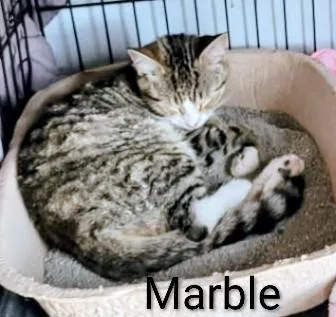 Marble thumbnail 3