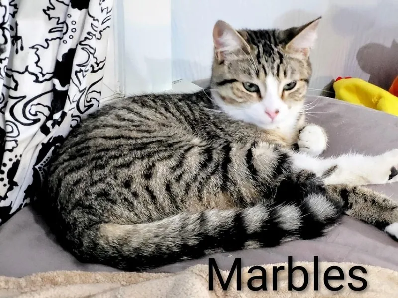 Marble