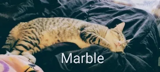 Marble thumbnail 4