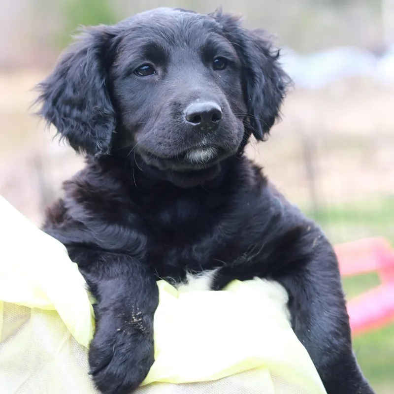 Ct Hot Topic thumbnail 5