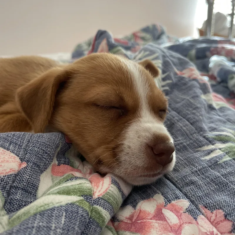 Sunshine thumbnail 2