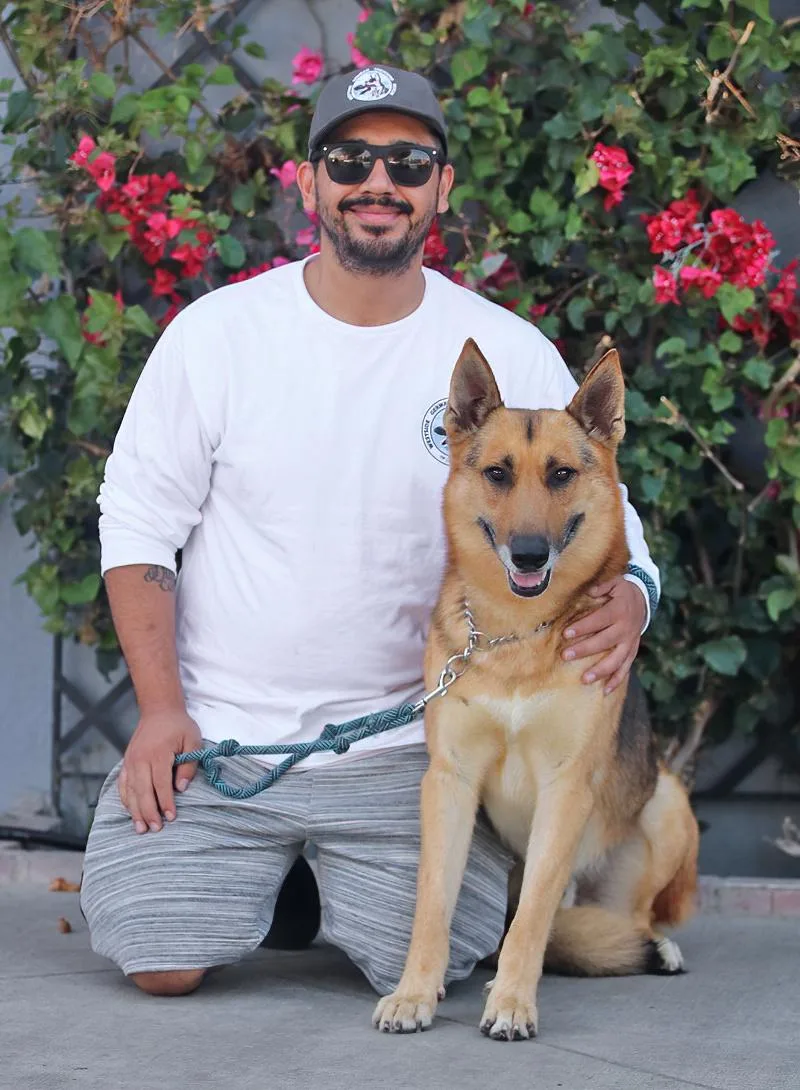 An adult large-sized male Black German Shepherd Dog dog named Baron Von Aachen for adoption in Los Angeles, CA