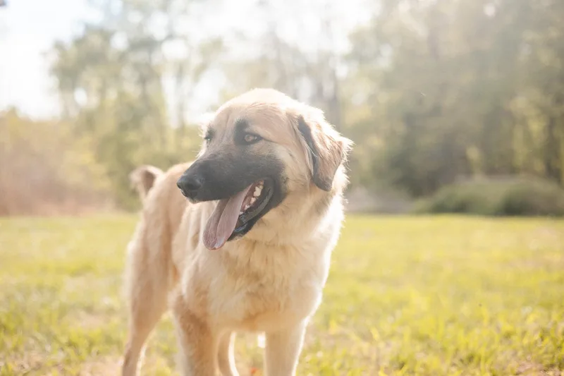 Andalusia thumbnail 5