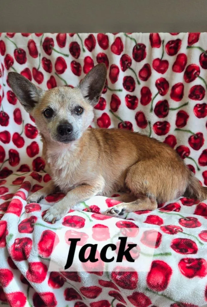 Jack Yrly thumbnail 5