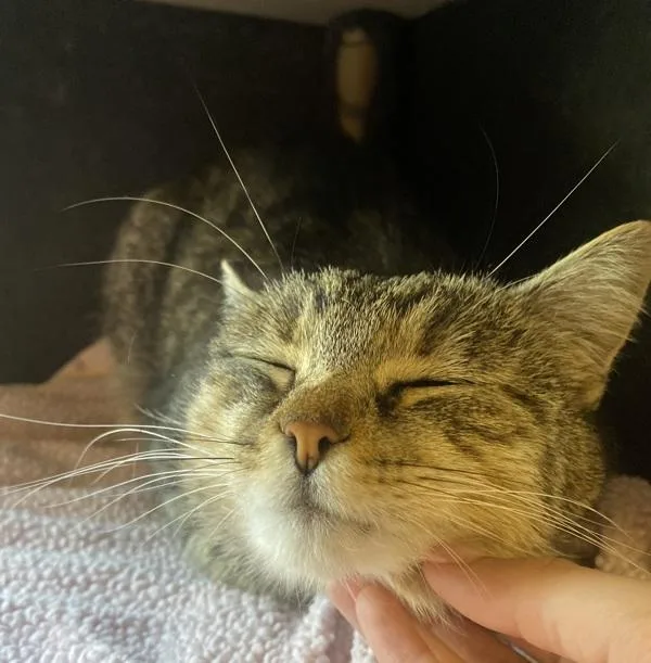 Little Baby thumbnail 2