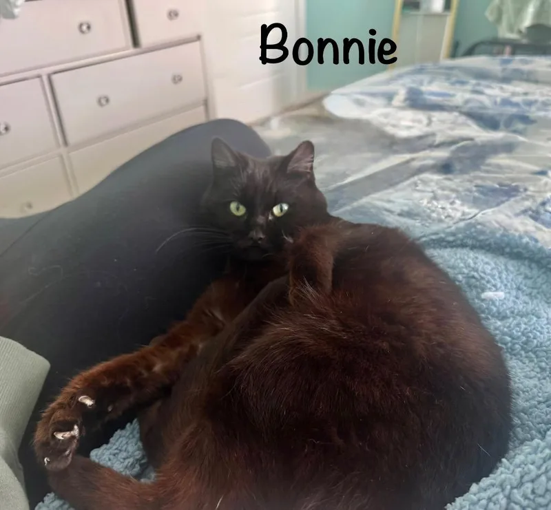 Bonnie