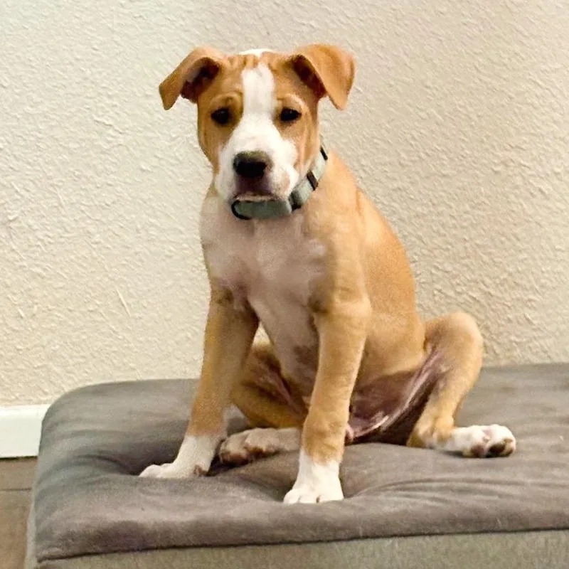 Freddie Mercury thumbnail 2