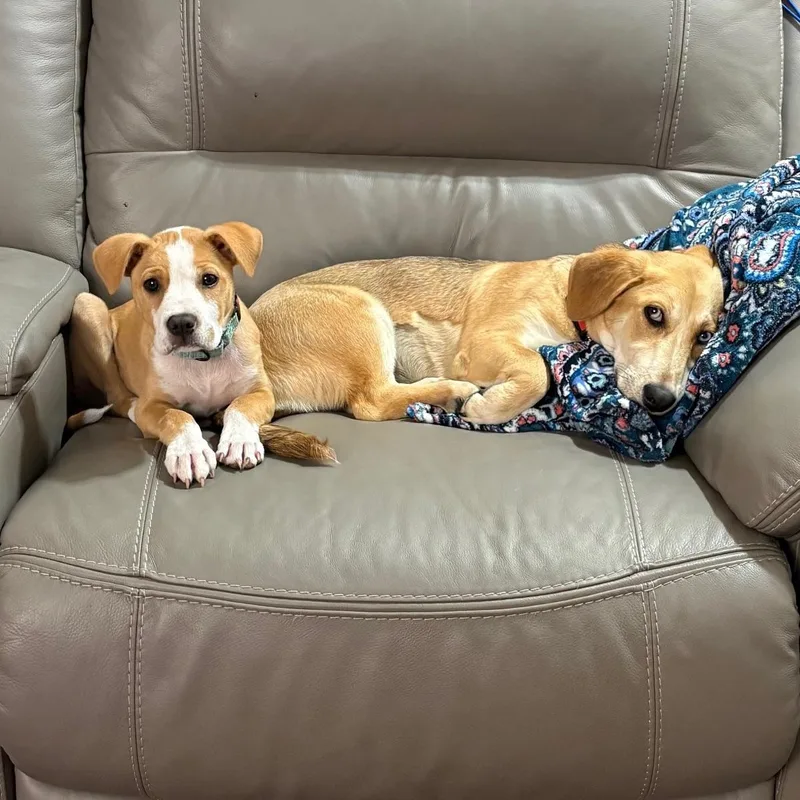 Freddie Mercury thumbnail 4