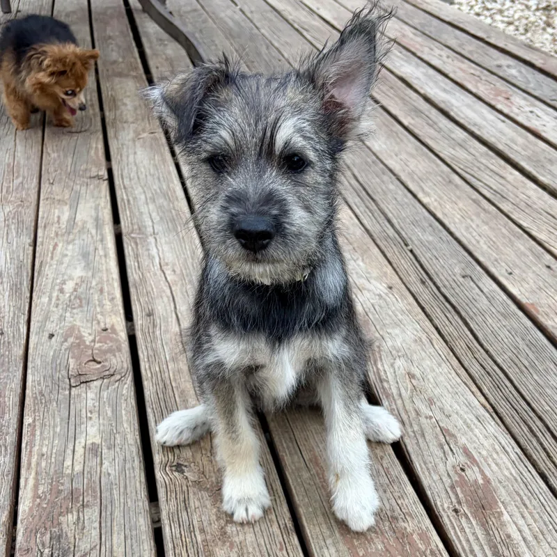 Totally Terrific Tate! Part thumbnail 4