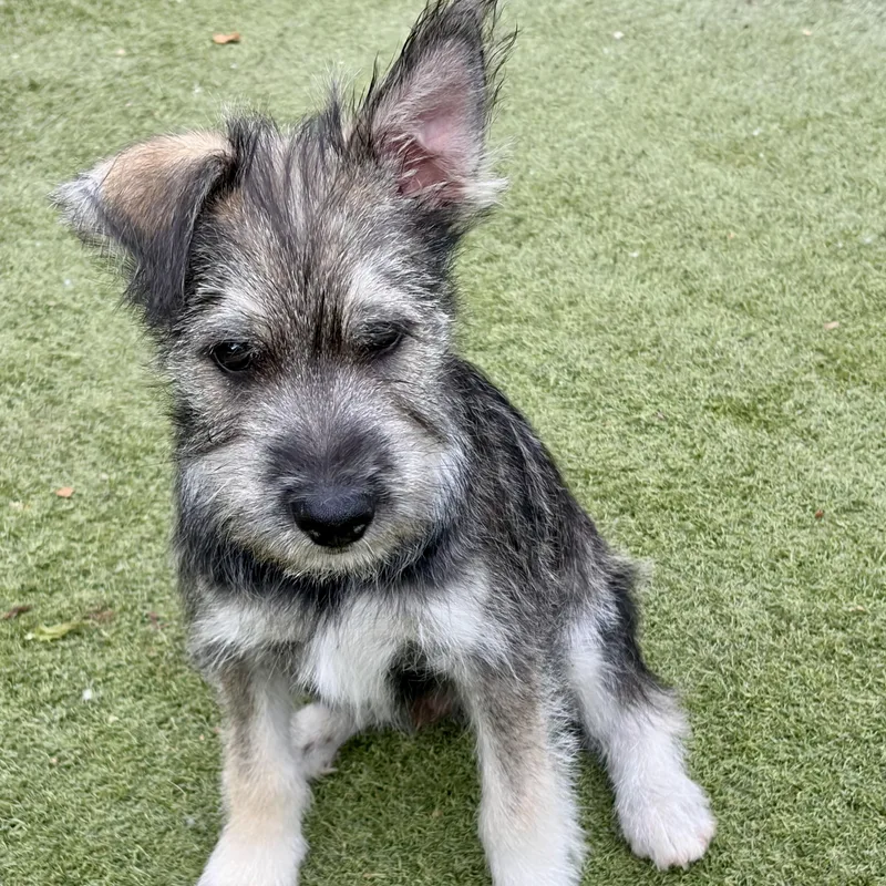 Totally Terrific Tate! Part thumbnail 5