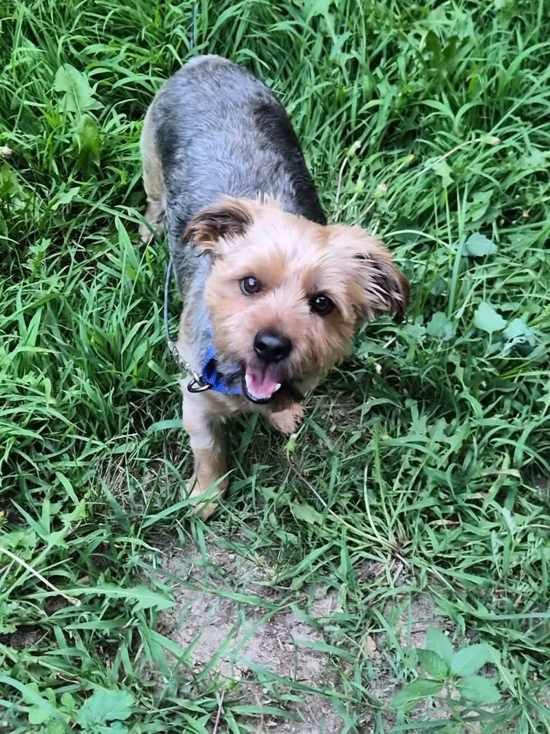 Hugo