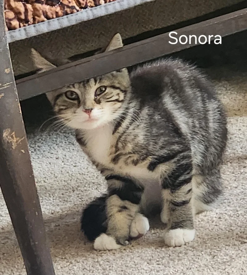 Fathers Day Sonora thumbnail 2