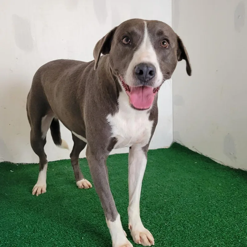 Precious thumbnail 2