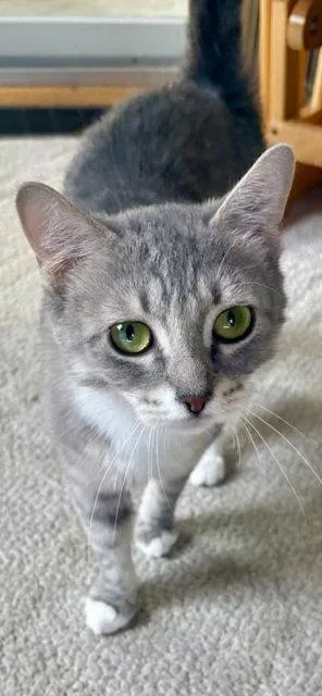 Minnie thumbnail 2