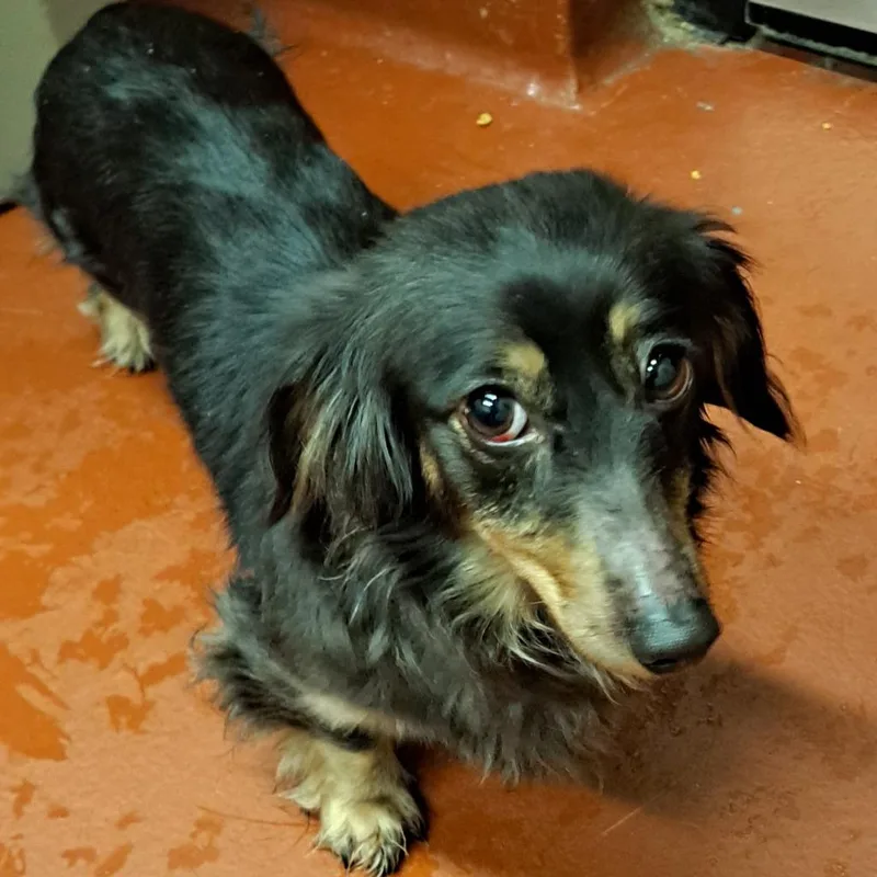 Lilliana thumbnail 2