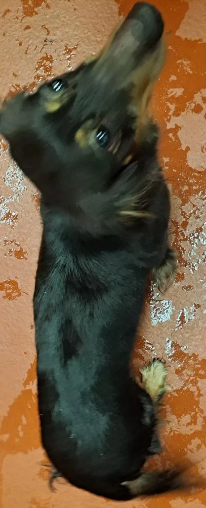 Lilliana thumbnail 3