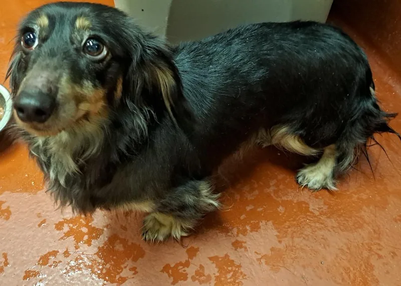 Lilliana thumbnail 4