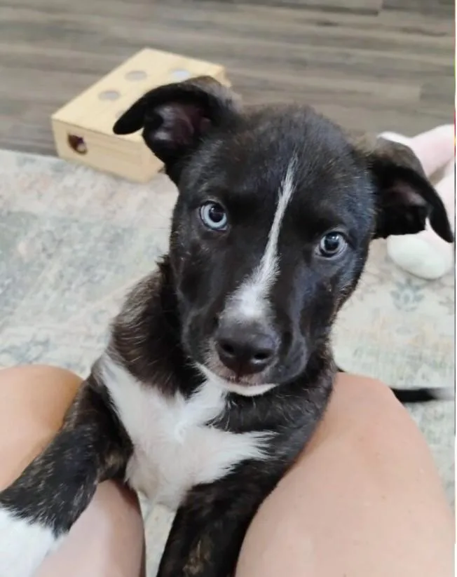 Rainbow the Snuggle Bug thumbnail 3