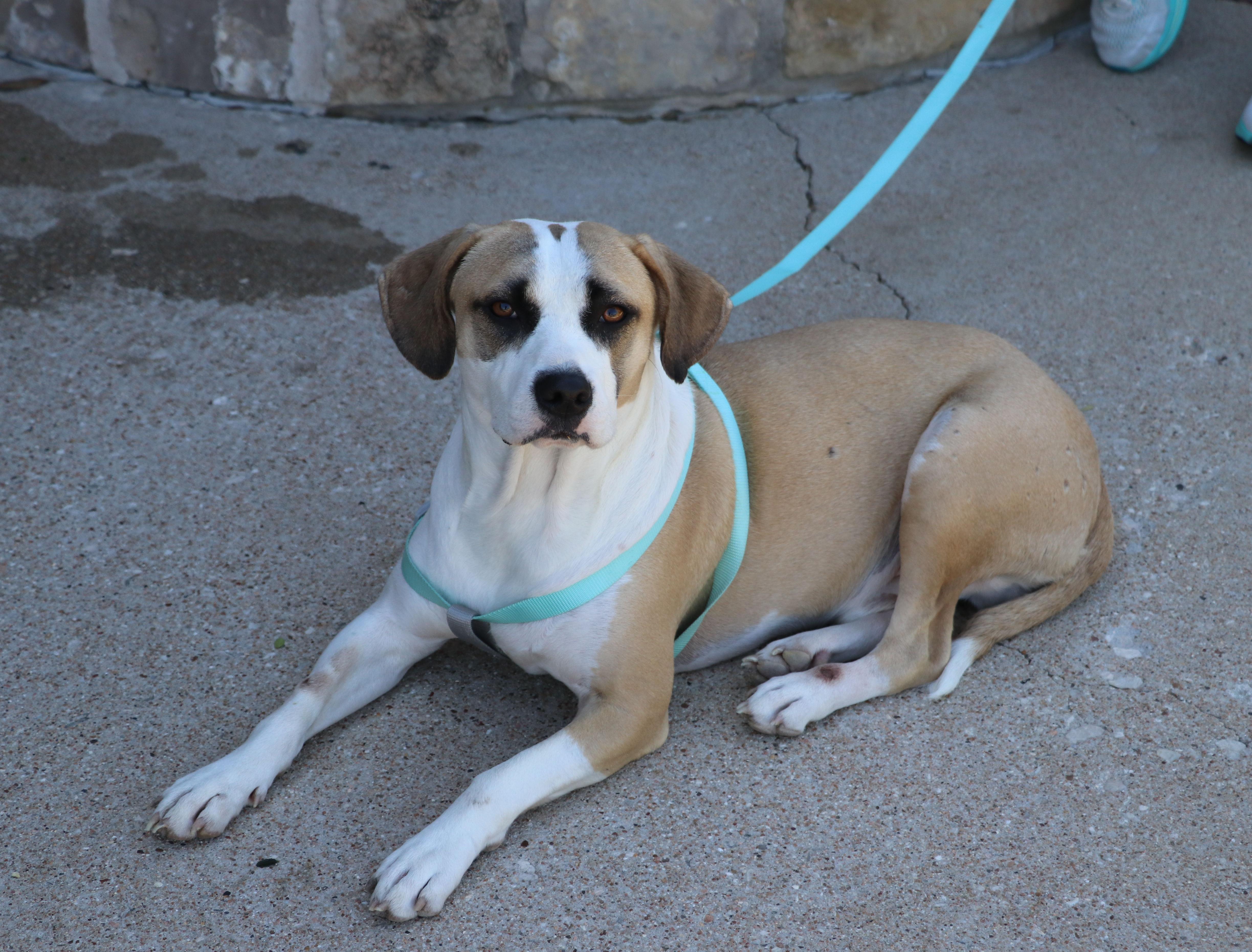 Jasper Sa thumbnail 2