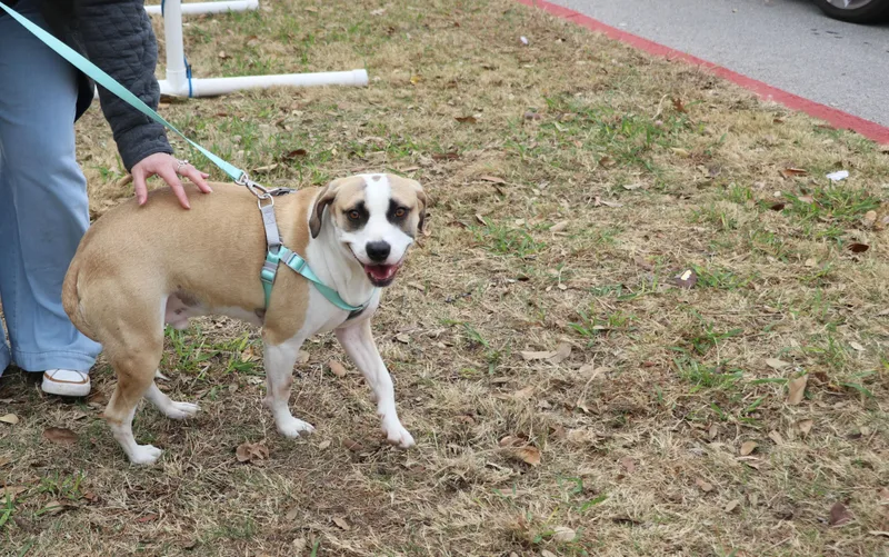 Jasper Sa thumbnail 3