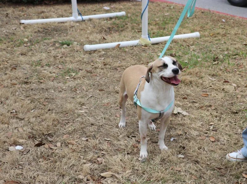 Jasper Sa thumbnail 5