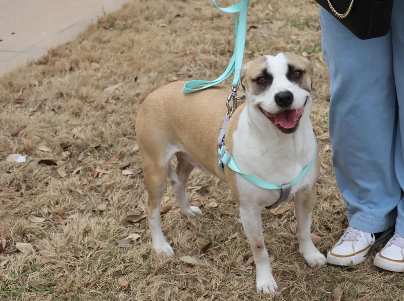 Jasper Sa thumbnail 6