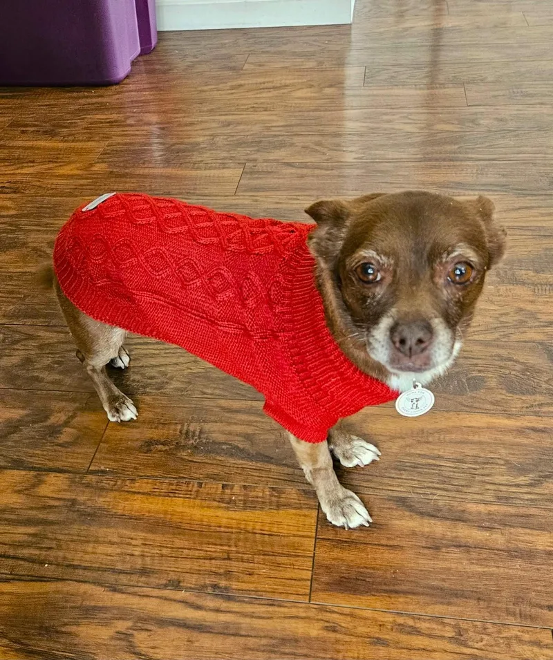 Vivienne thumbnail 2