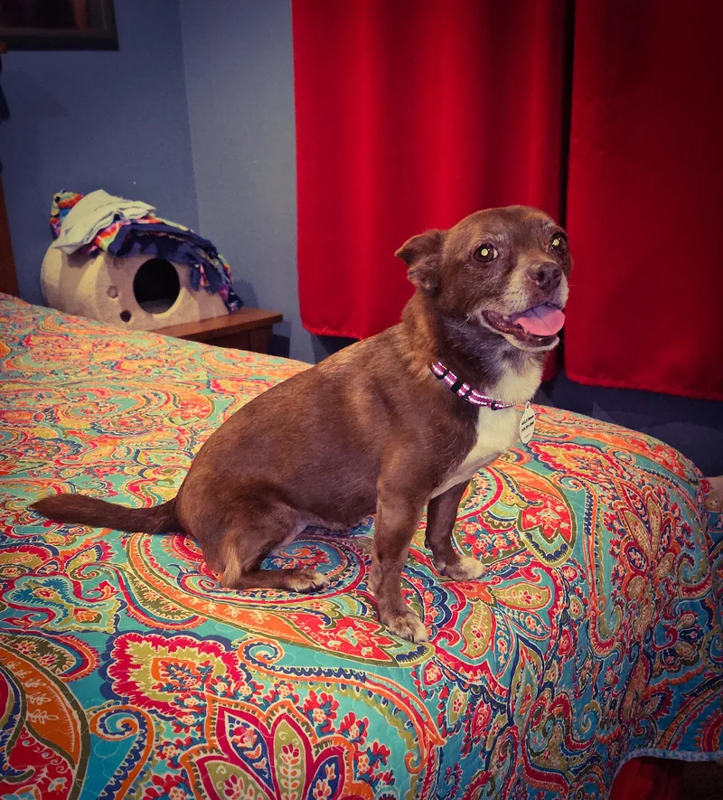 Vivienne thumbnail 3