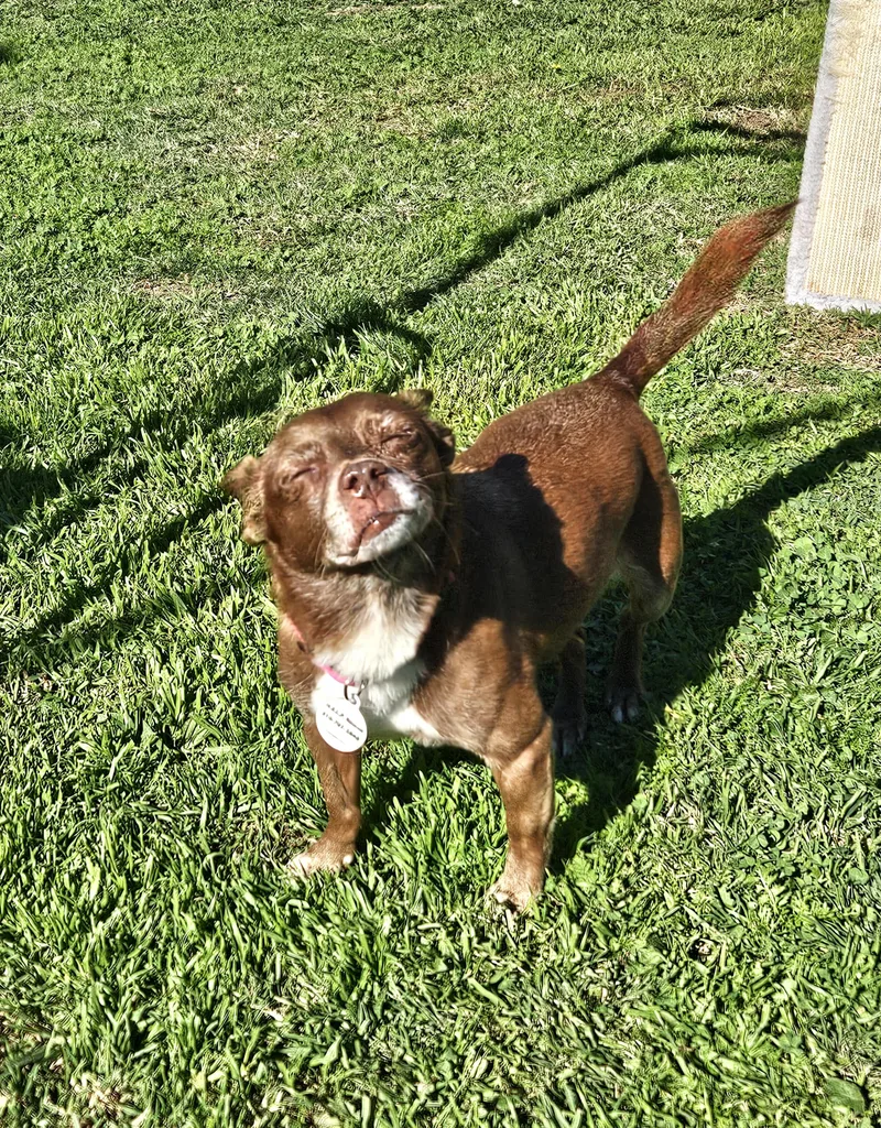 Vivienne thumbnail 4